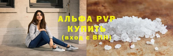 гидра Богородицк