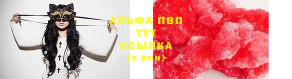 apvp Бородино