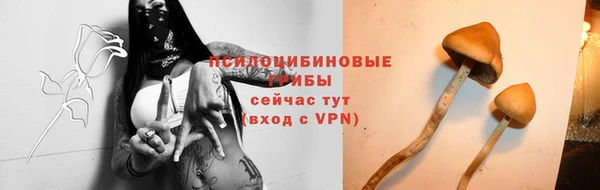 COCAINE Богданович