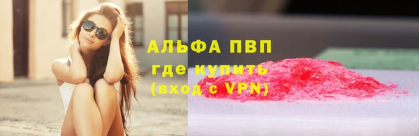 гидра Богородицк