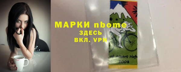 apvp Бородино
