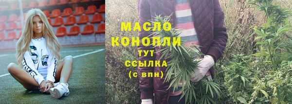 гидра Богородицк