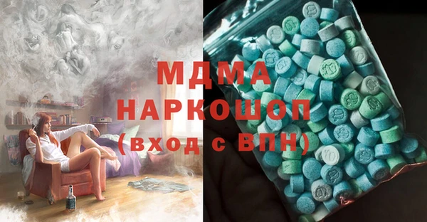 гидра Богородицк