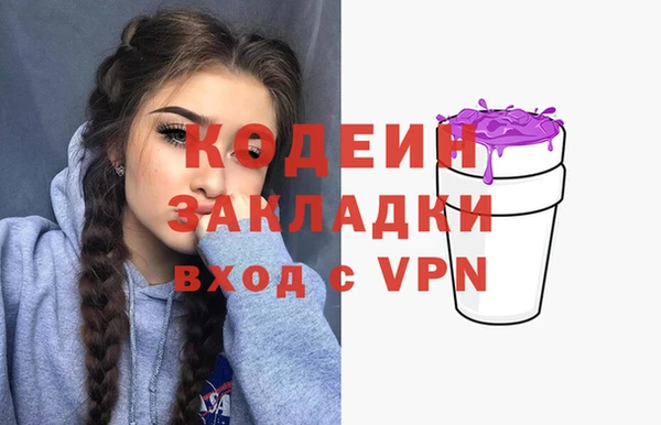 apvp Бородино