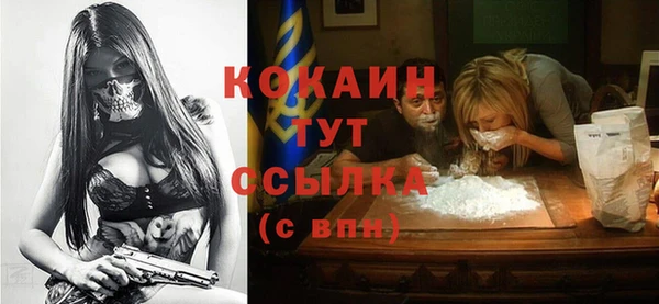 гидра Богородицк