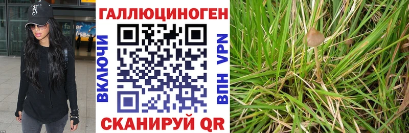 ссылка на мегу онион  Пенза  Галлюциногенные грибы мухоморы 